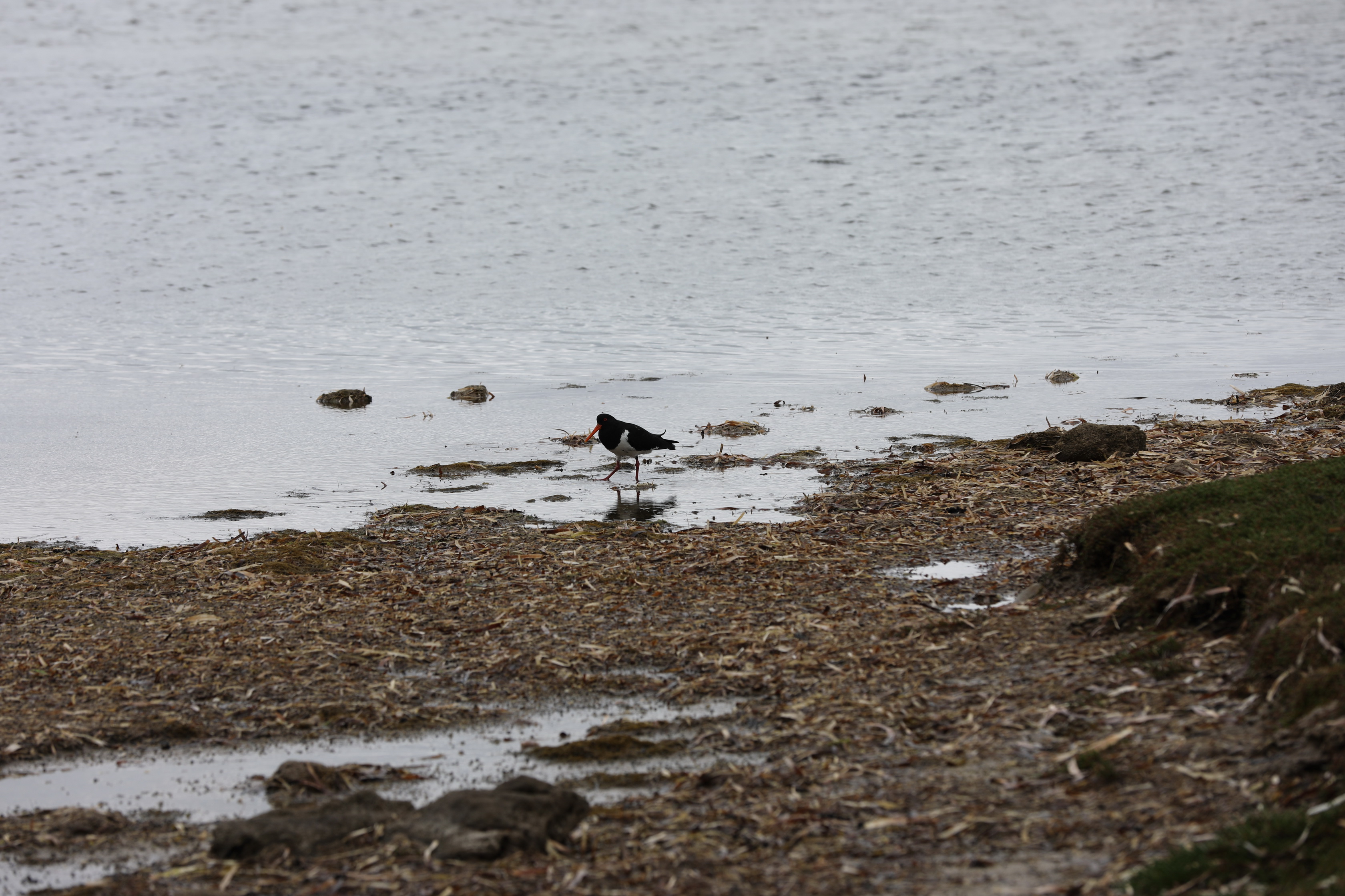 2019 10 06 14 49 50 Canon EOS 5D Mark IV 0014